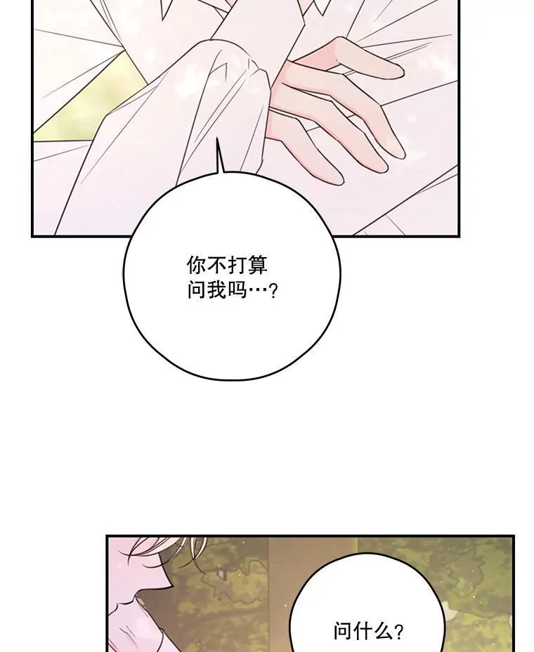 23.阿匹尔斯的伤口 第63页