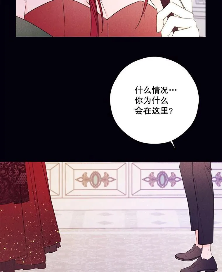24.阿匹尔斯的回忆 第15页