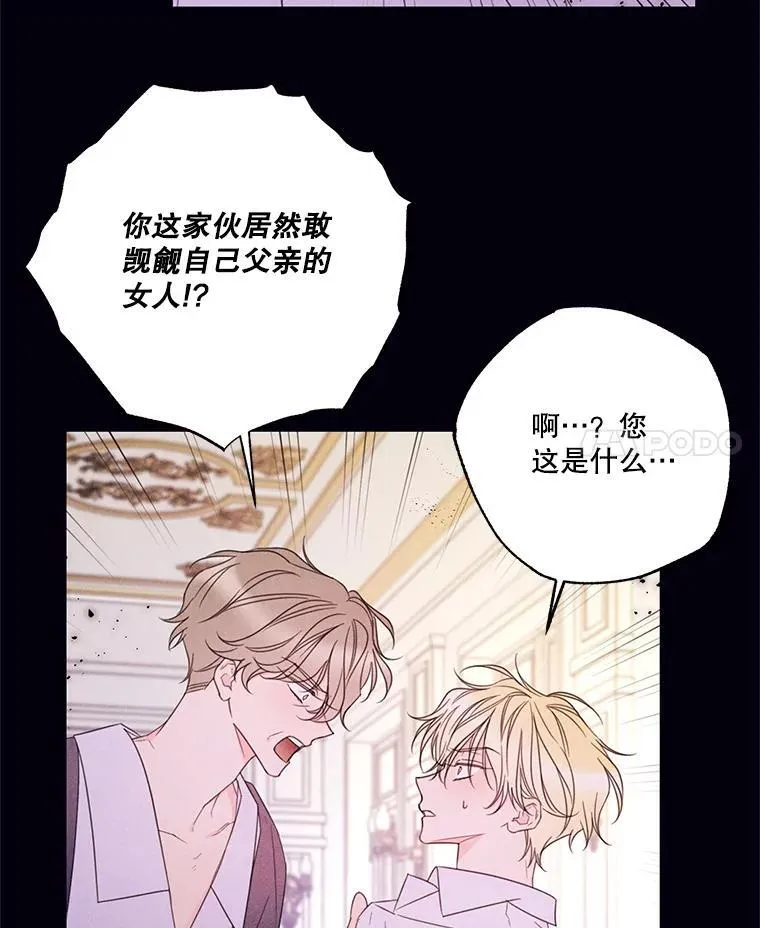 24.阿匹尔斯的回忆 第30页