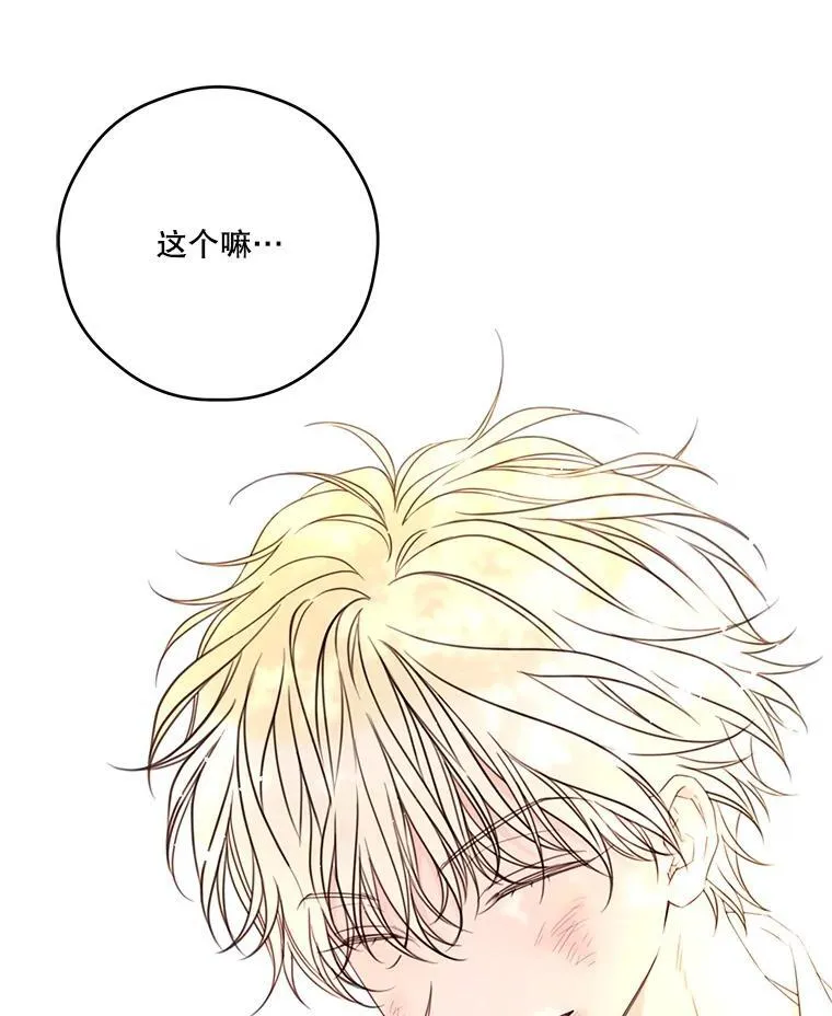 24.阿匹尔斯的回忆 第60页