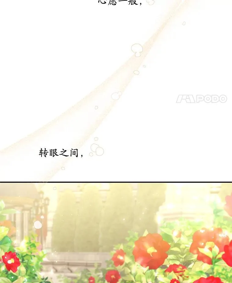 42.排名战前夕 第36页