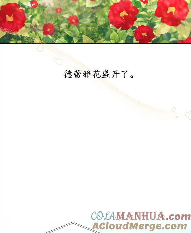 42.排名战前夕 第37页