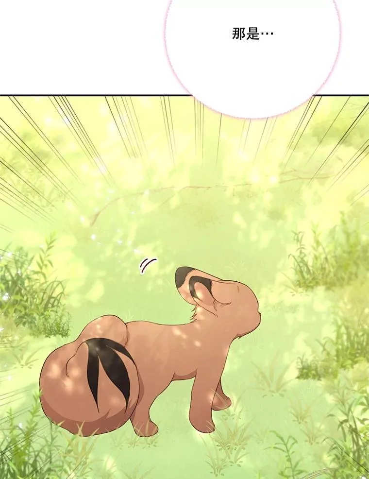 48.魔法学考试 第12页