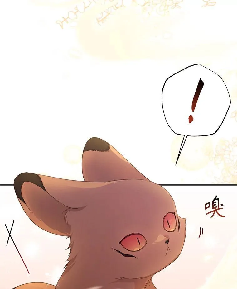 48.魔法学考试 第23页