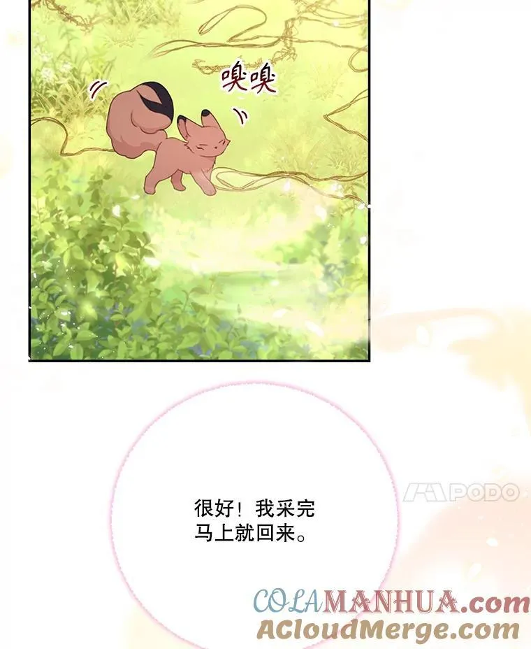 48.魔法学考试 第25页