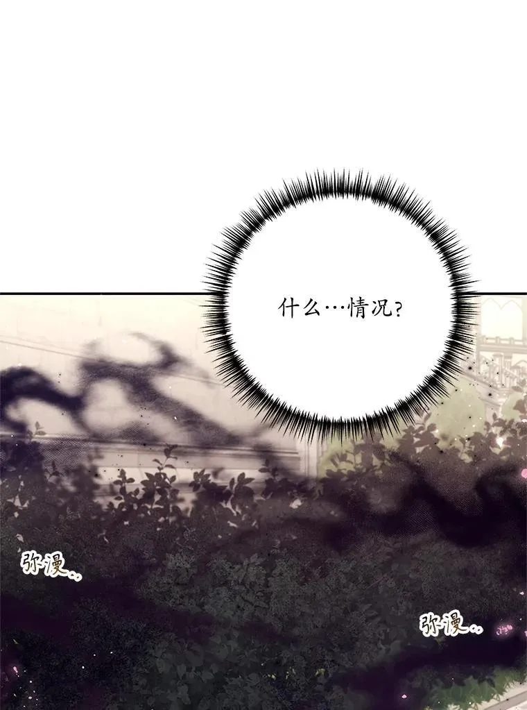 66.成功营救 第99页