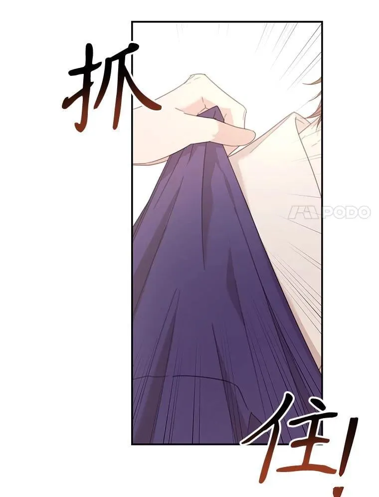 75.拒绝阿匹尔斯 第11页