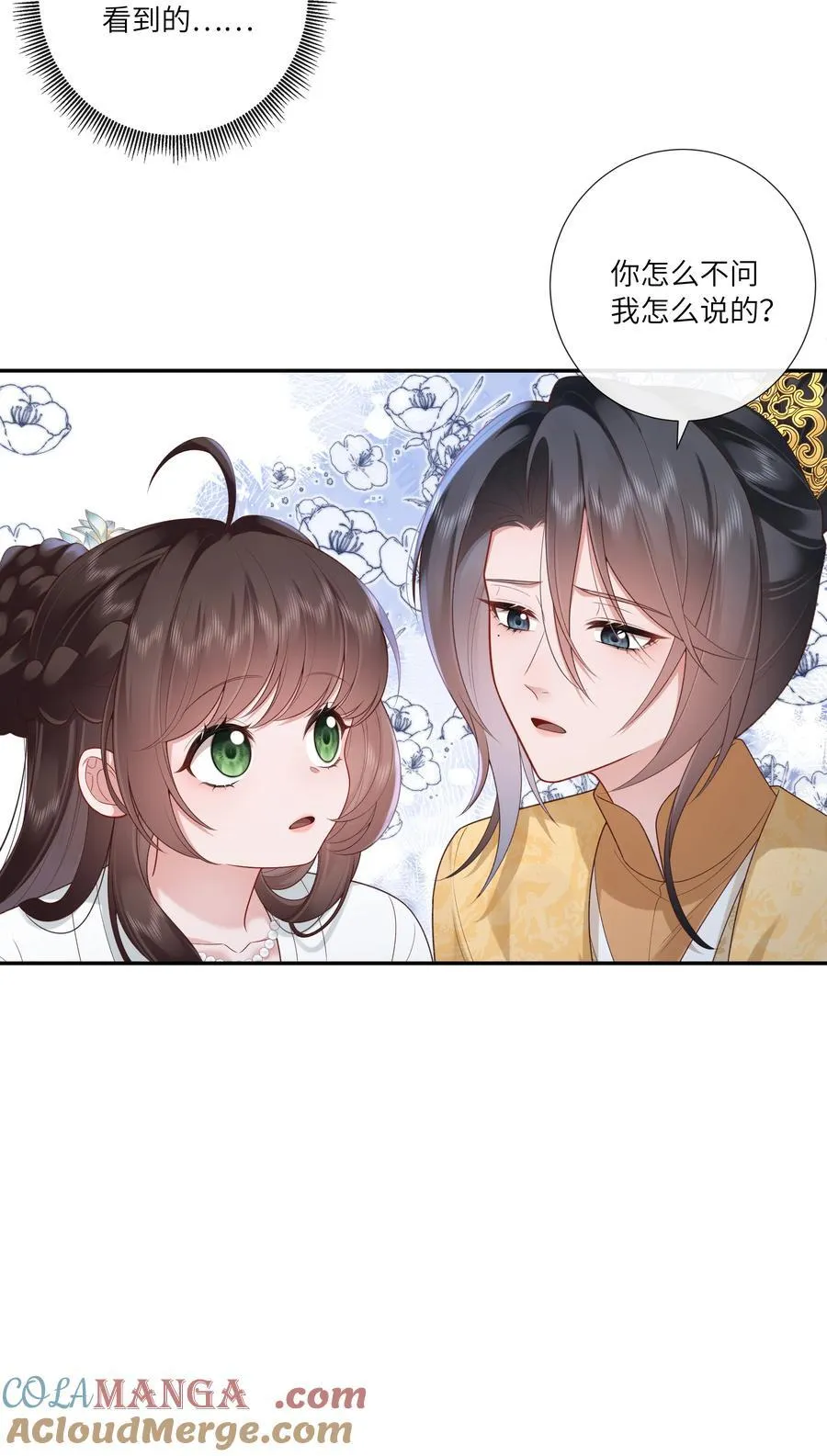 063 且插梅花醉洛阳 第17页