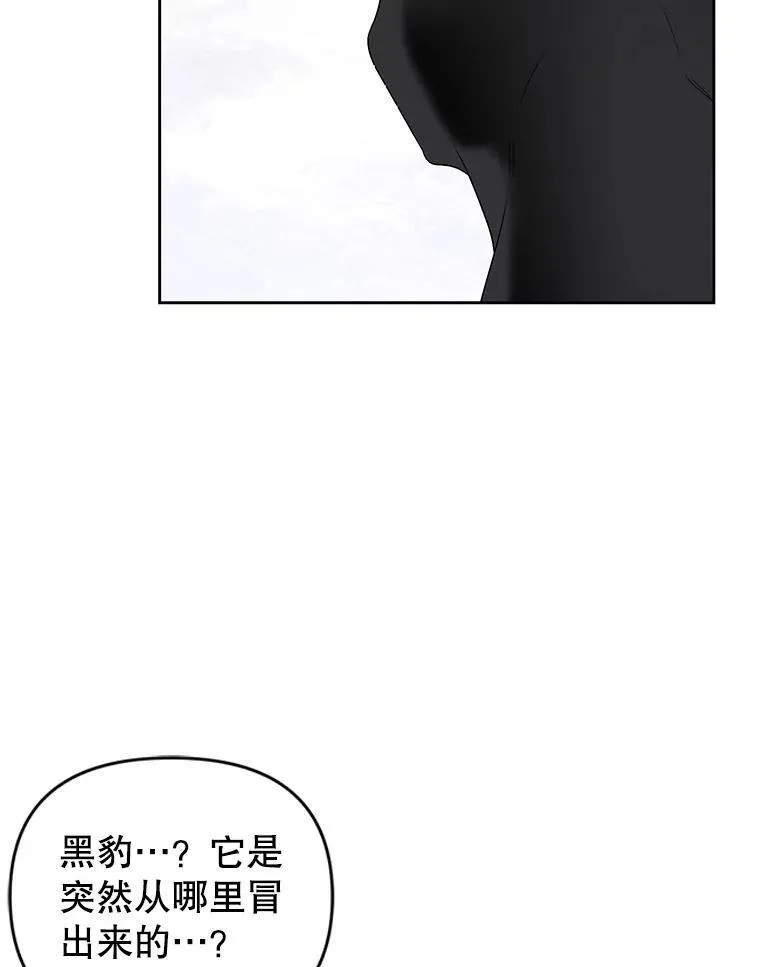54.佳芙蕾的出现 第40页