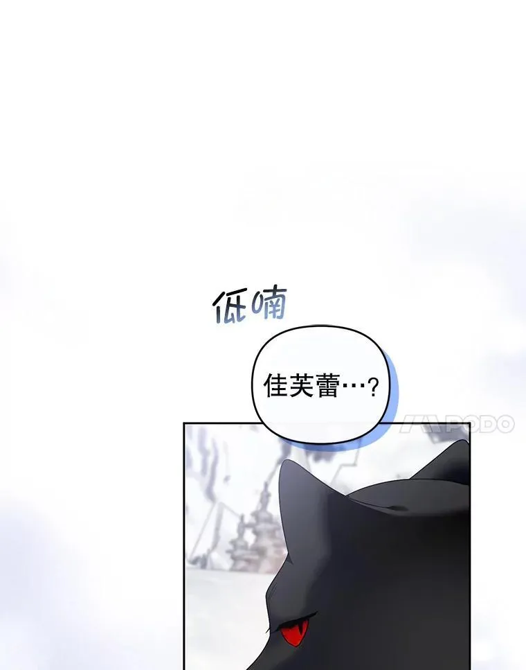 54.佳芙蕾的出现 第42页