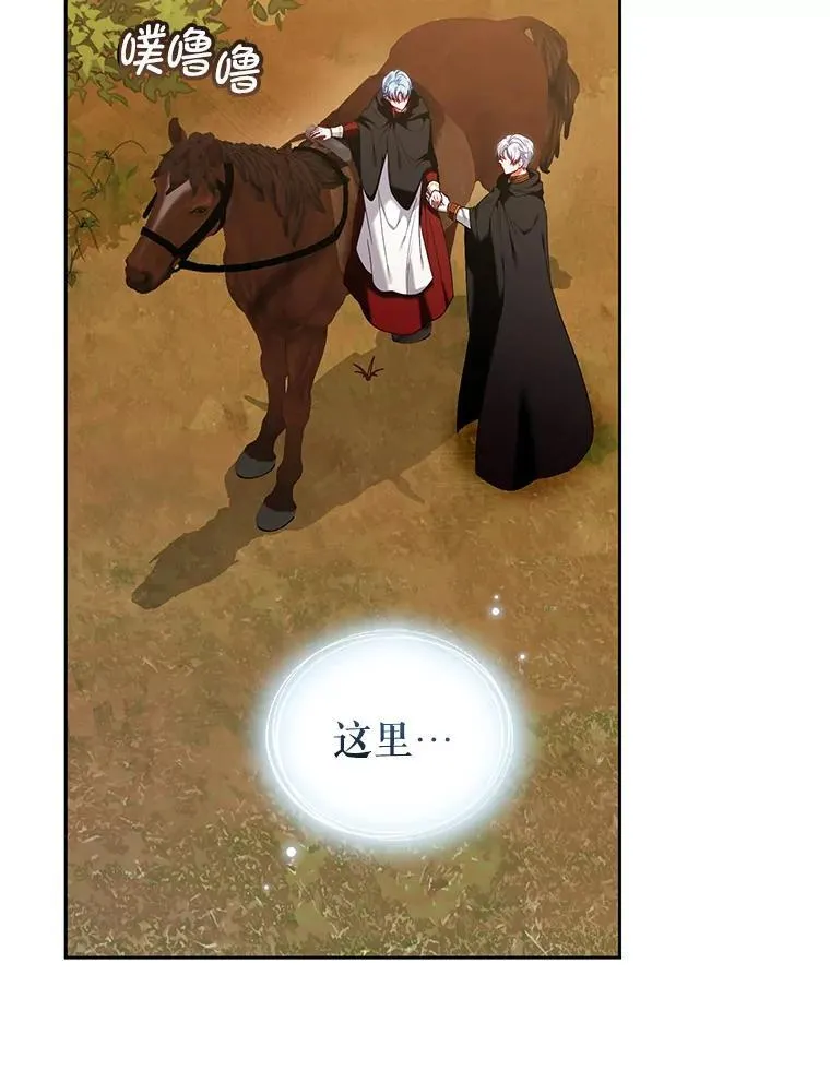 67.惊人的身世 第42页