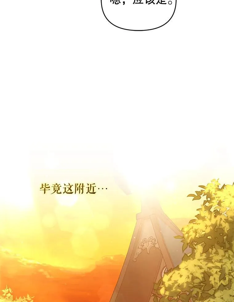 67.惊人的身世 第47页