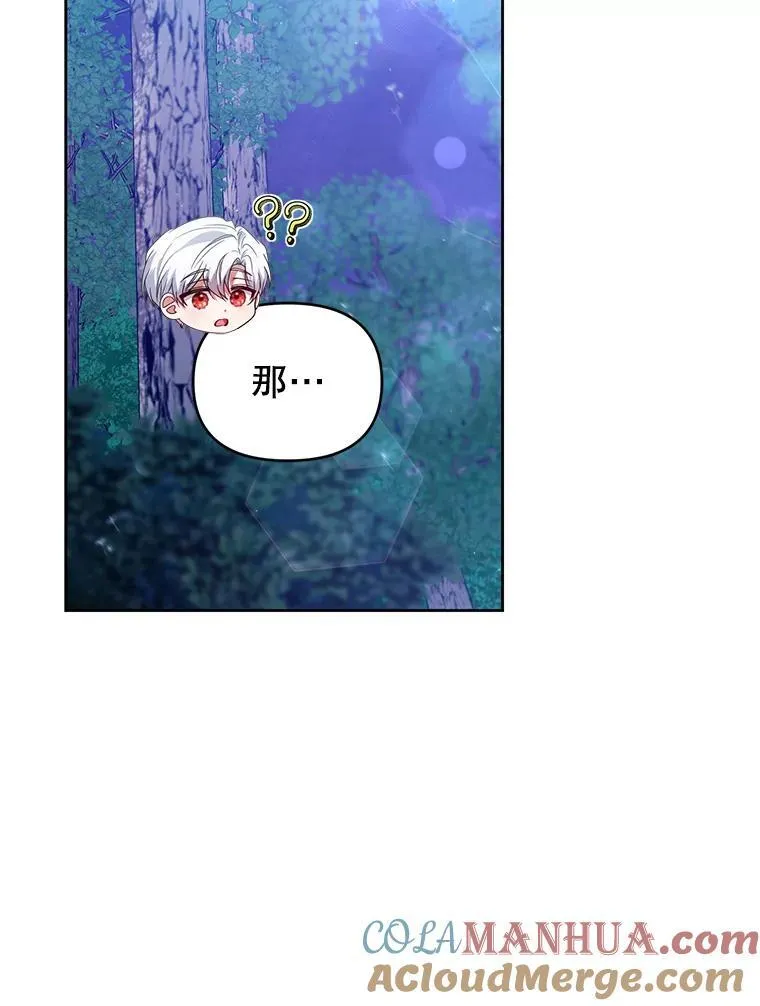 69.拉凯恩的来历 第89页