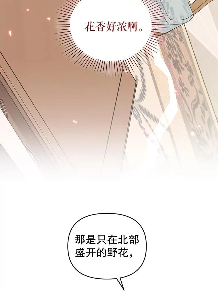 79.赫娜消失？ 第24页