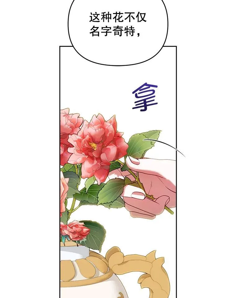 79.赫娜消失？ 第28页