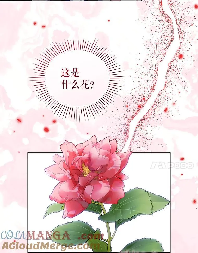 84.痛下杀手 第65页