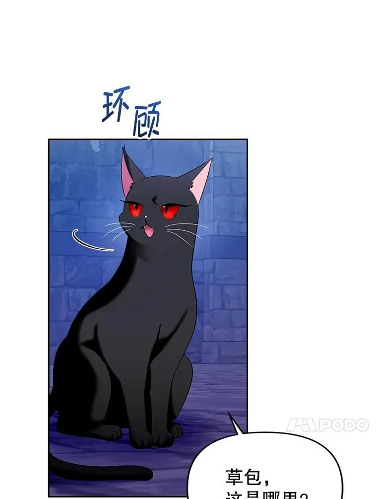 85.假项链 第44页