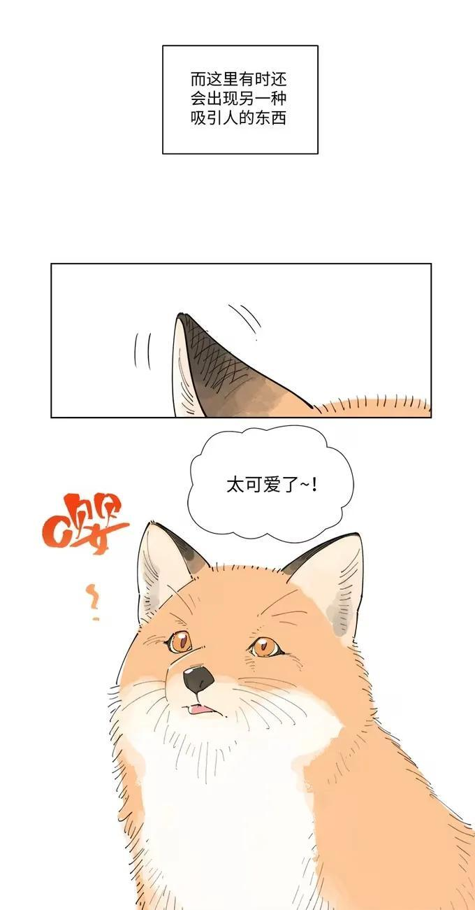 【第63谈】 日远日疏，日亲日近。 第43页