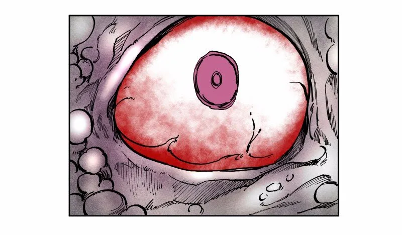 S1-33 第33话 第49页