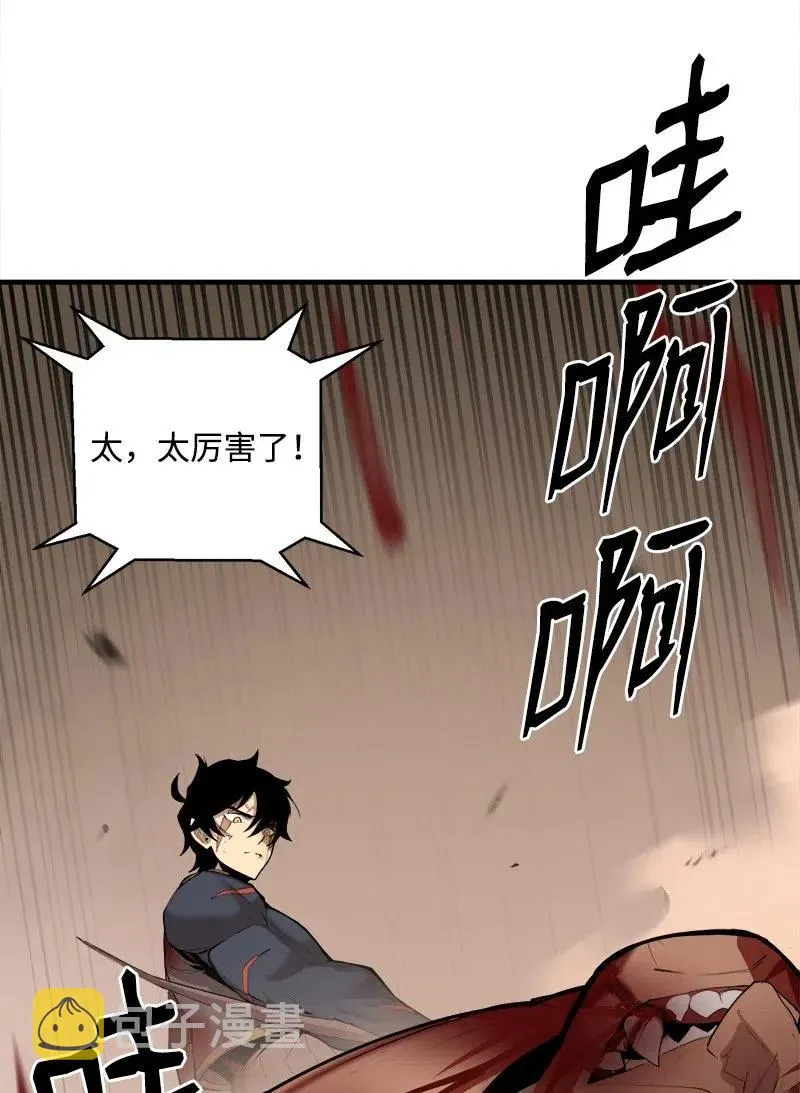 S2-12 胜利 第3页