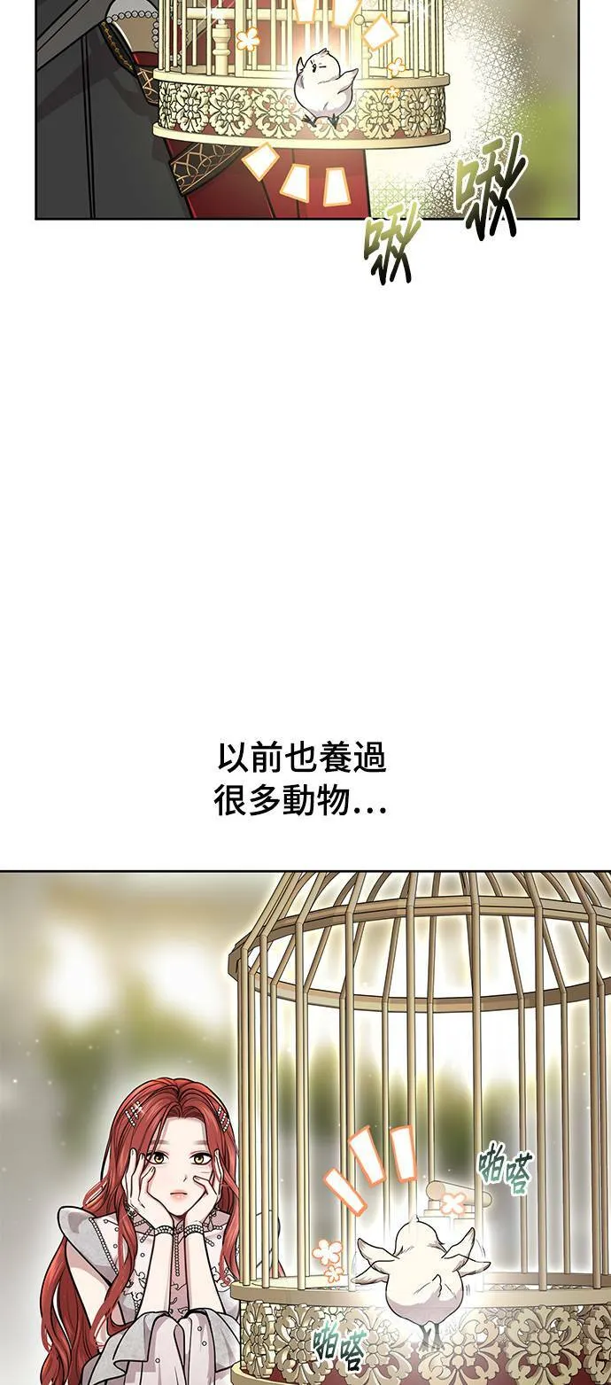 第24话 小鸟 第61页