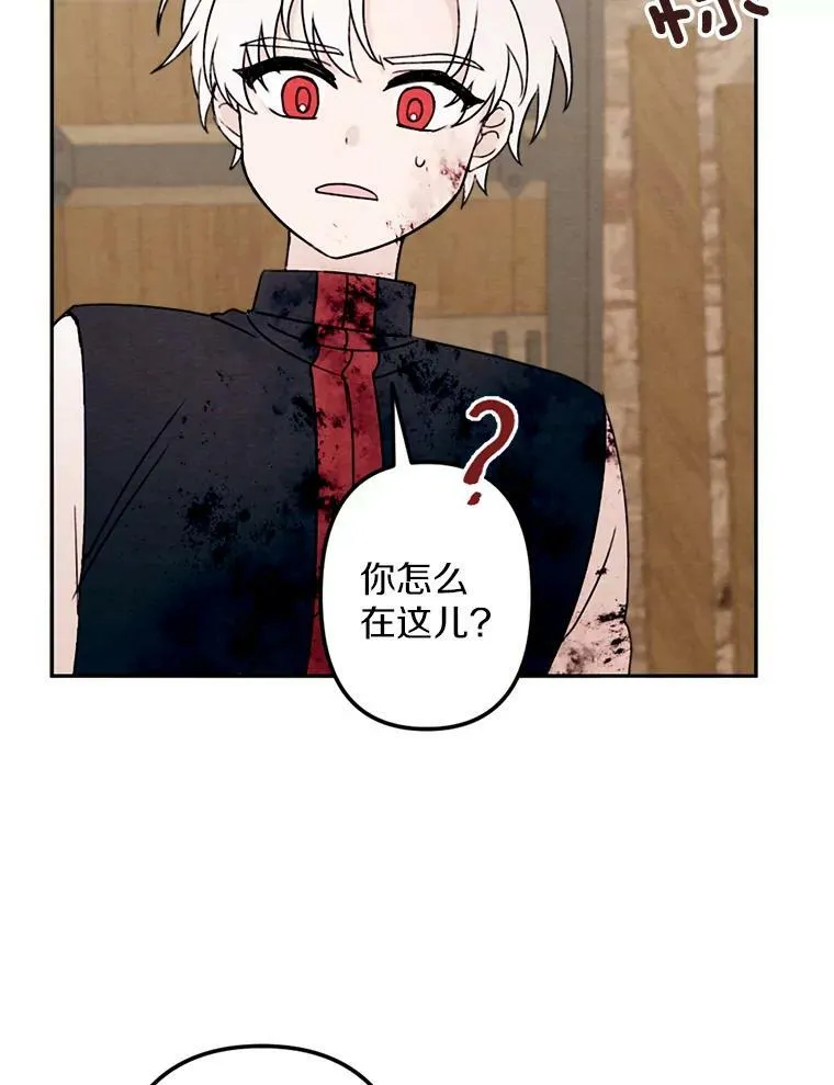 4.樱桃 第72页
