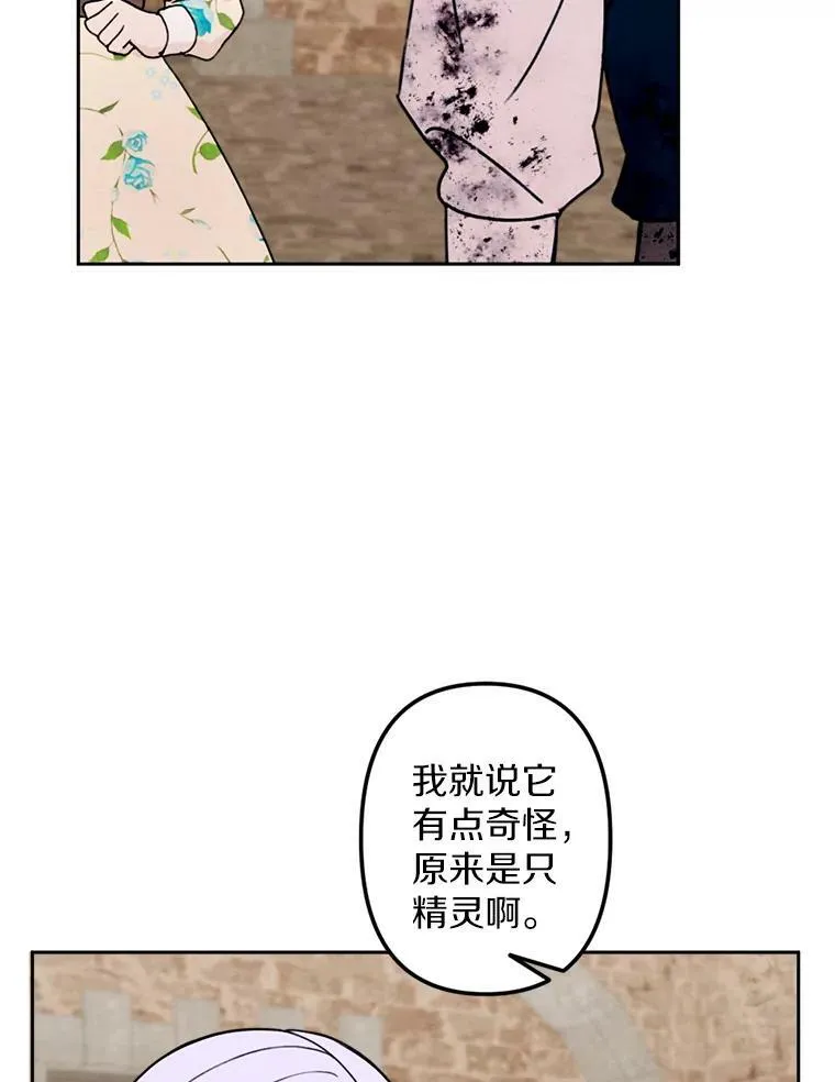 4.樱桃 第78页