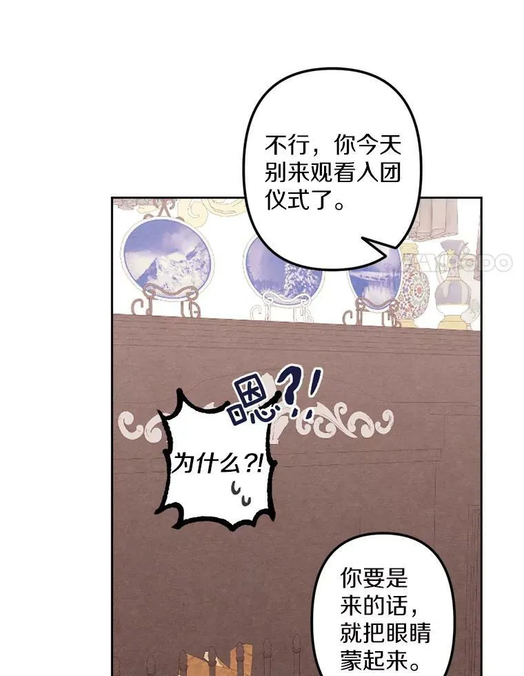 8.入团仪式 第47页