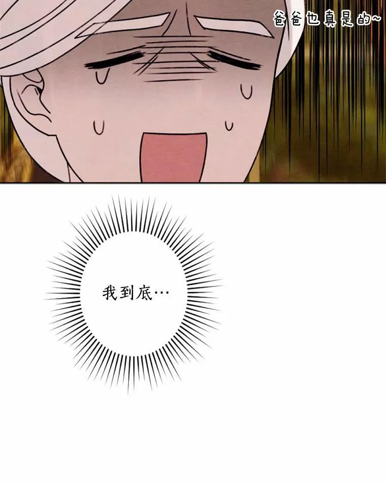 13.胜战归来 第28页