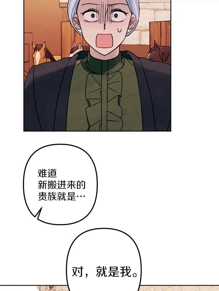 15.入城仪式 第8页