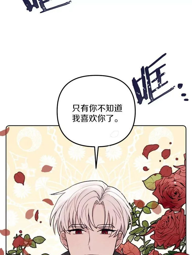 15.入城仪式 第22页