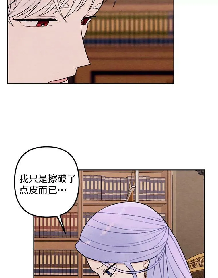 20.大公来访 第3页