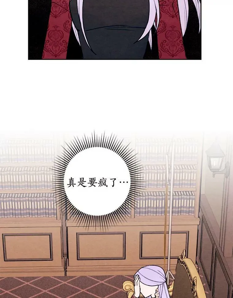 20.大公来访 第12页