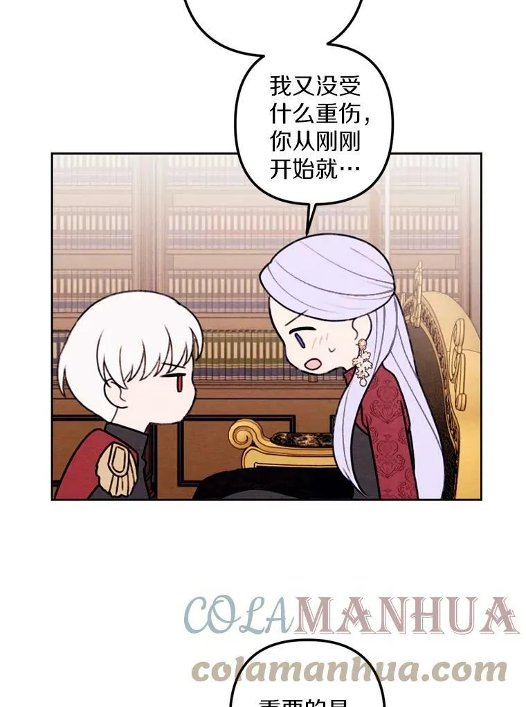 20.大公来访 第22页
