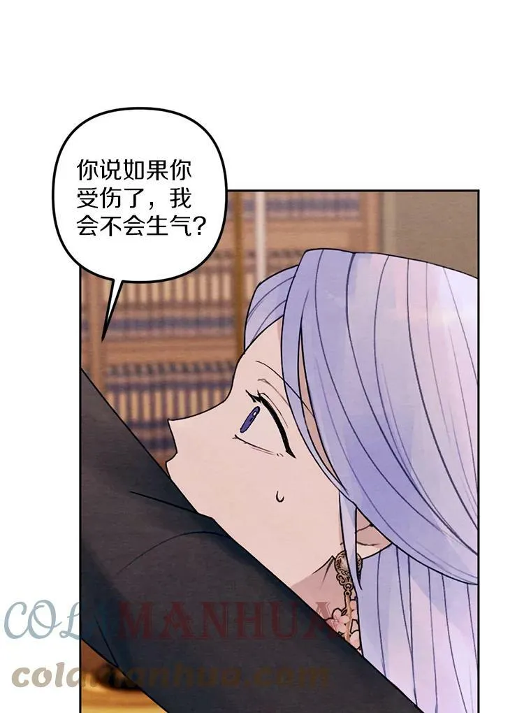 20.大公来访 第25页