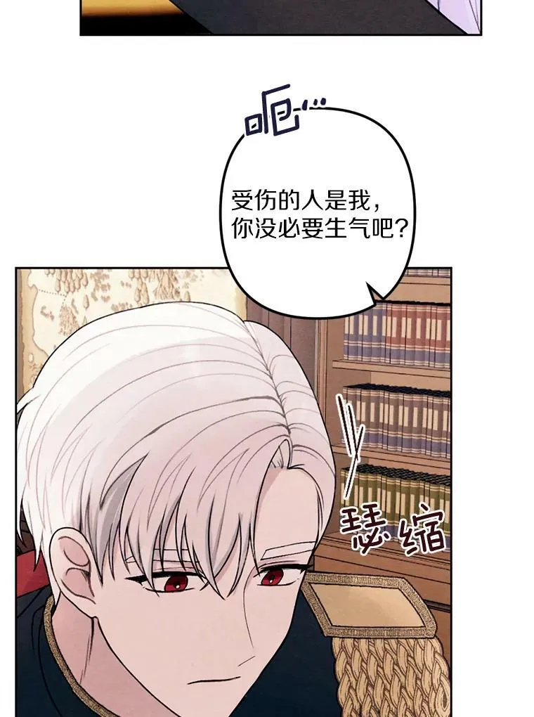 20.大公来访 第26页
