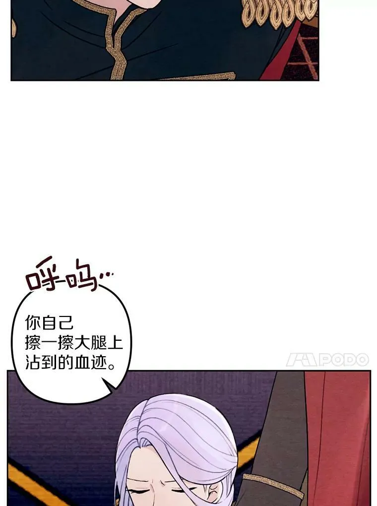 20.大公来访 第27页