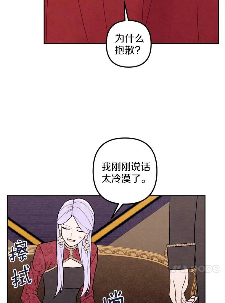 20.大公来访 第30页