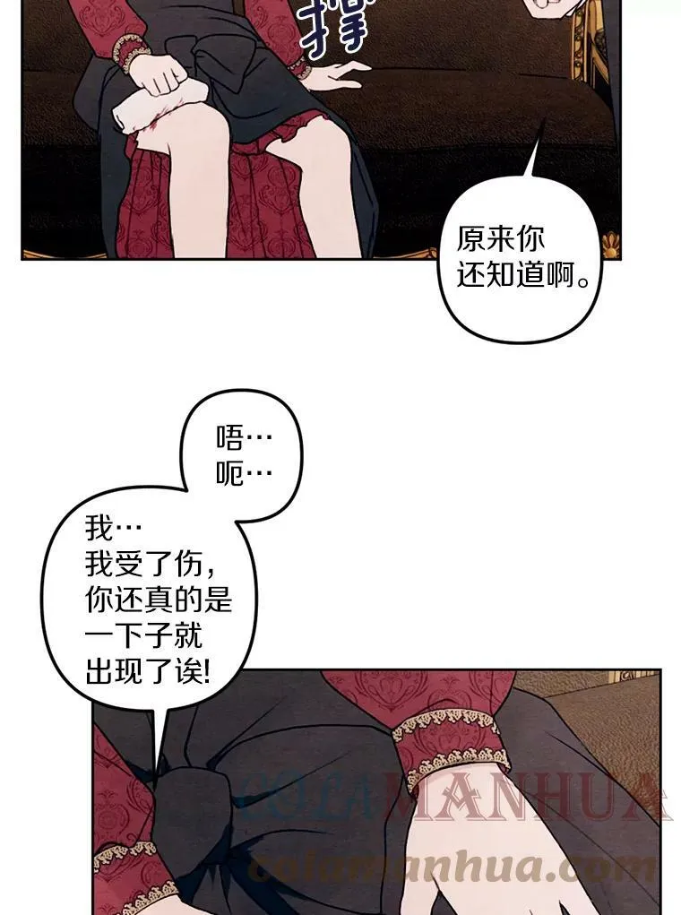 20.大公来访 第31页