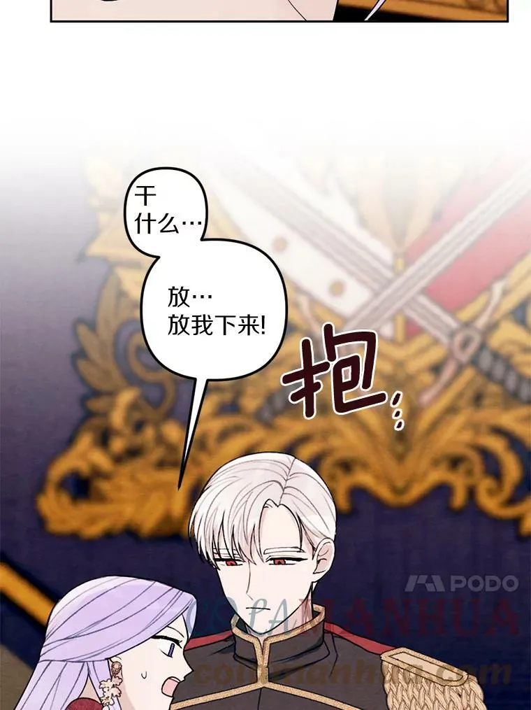 20.大公来访 第46页