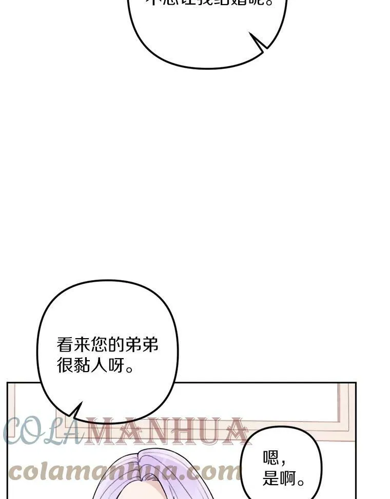 20.大公来访 第67页