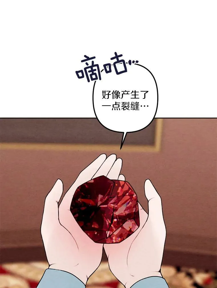 20.大公来访 第74页