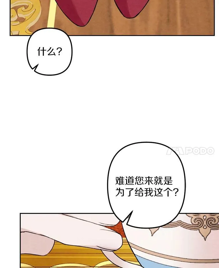20.大公来访 第89页