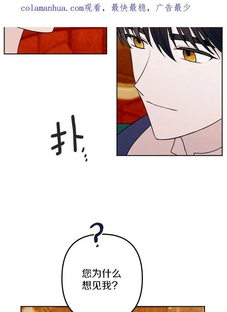 21.大公来访 第2页