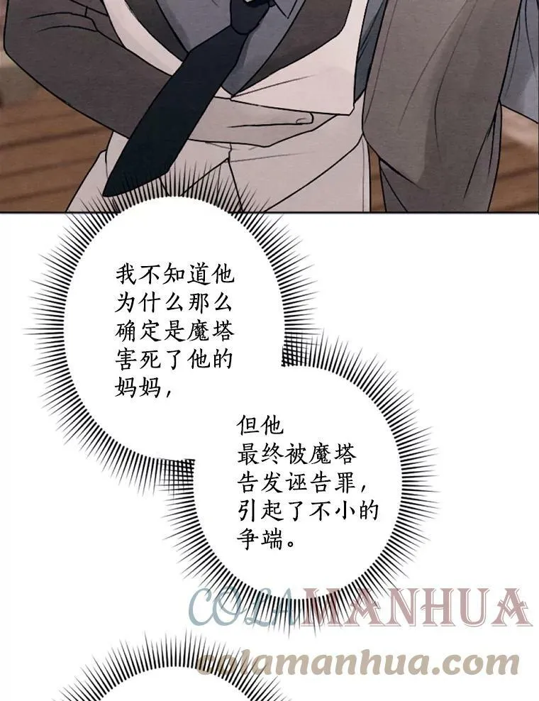 21.大公来访 第37页