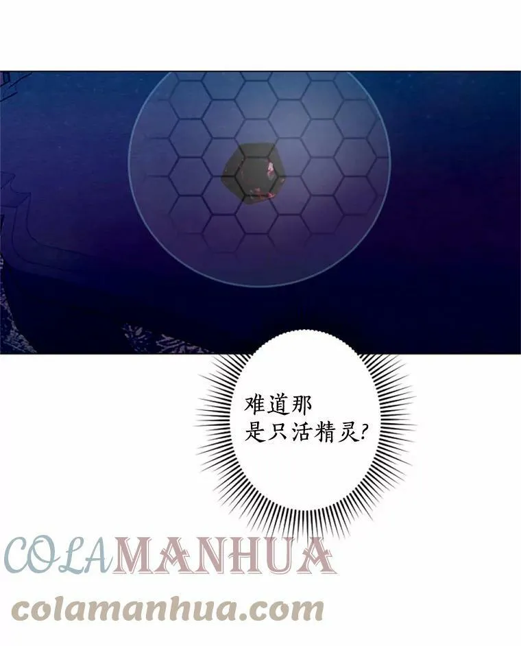 27.生日宴 第22页