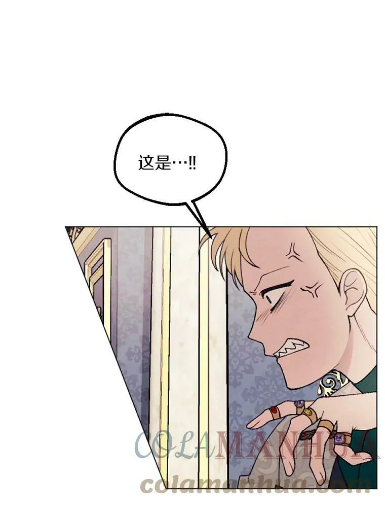 27.生日宴 第85页