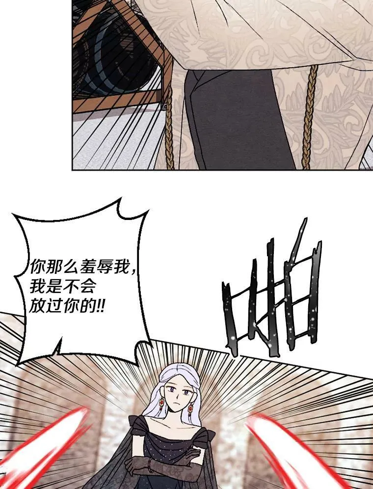 28.大公的礼物 第20页