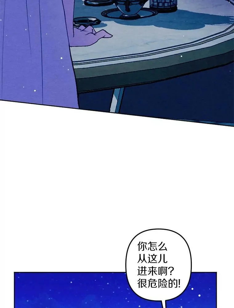 28.大公的礼物 第75页