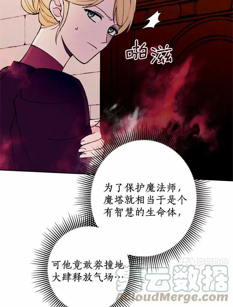 40.邪恶的魔塔主 第53页